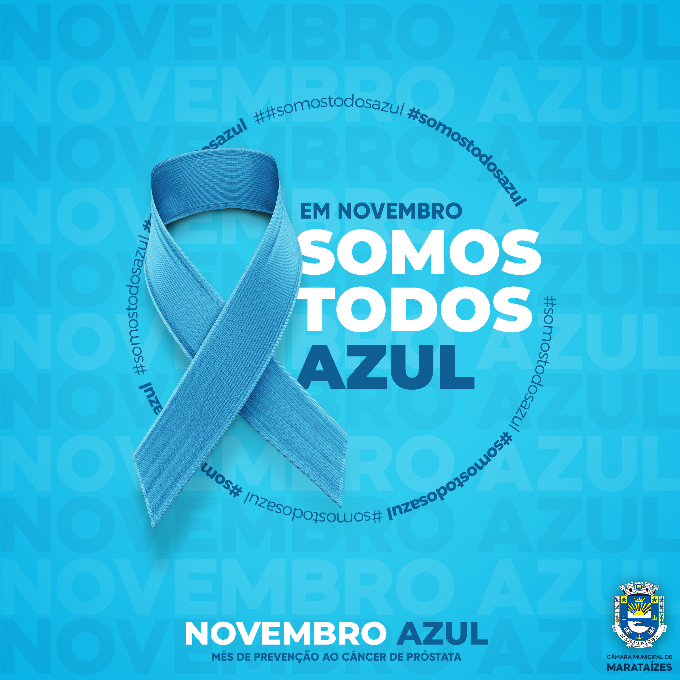 CÂMARA MUNICIPAL DE MARATAÍZES SE JUNTA A CAMPANHA 
